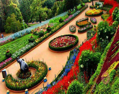 Kodaikkanal Flower Gardern